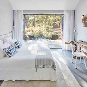 Guest Suite